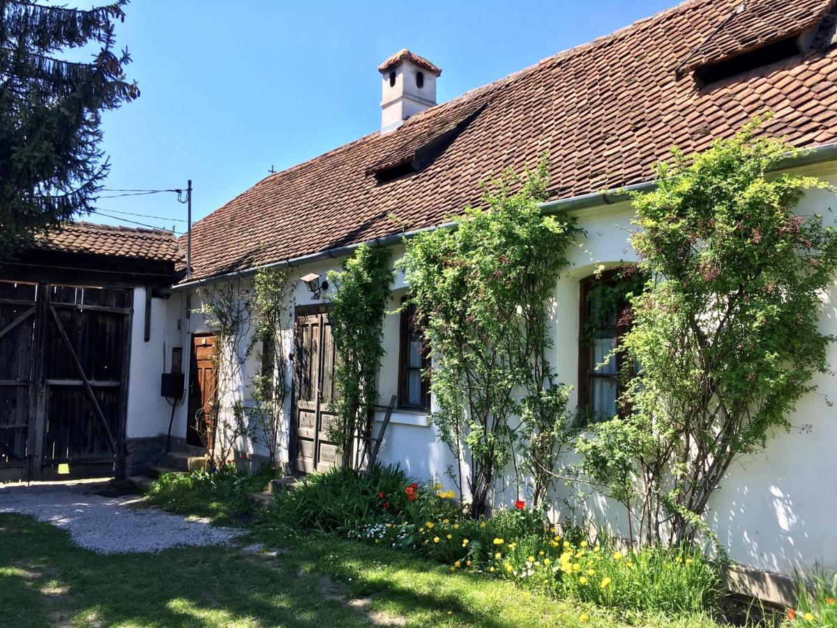 Count Kalnoky'S Transylvanian Guesthouses Miclosoara Extérieur photo
