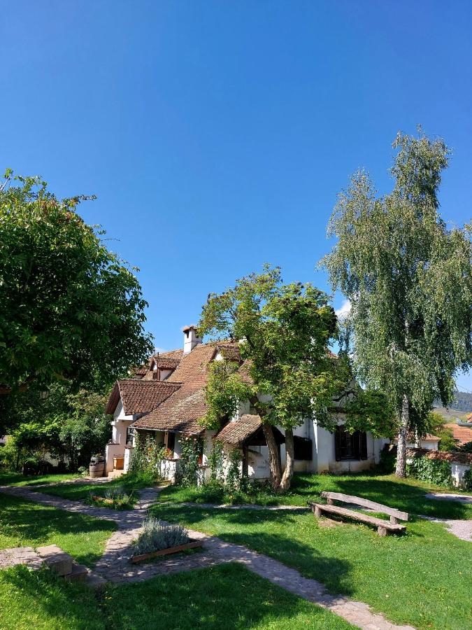 Count Kalnoky'S Transylvanian Guesthouses Miclosoara Extérieur photo