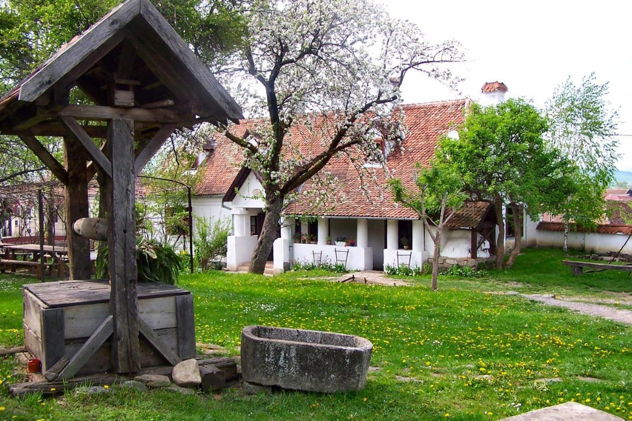 Count Kalnoky'S Transylvanian Guesthouses Miclosoara Extérieur photo