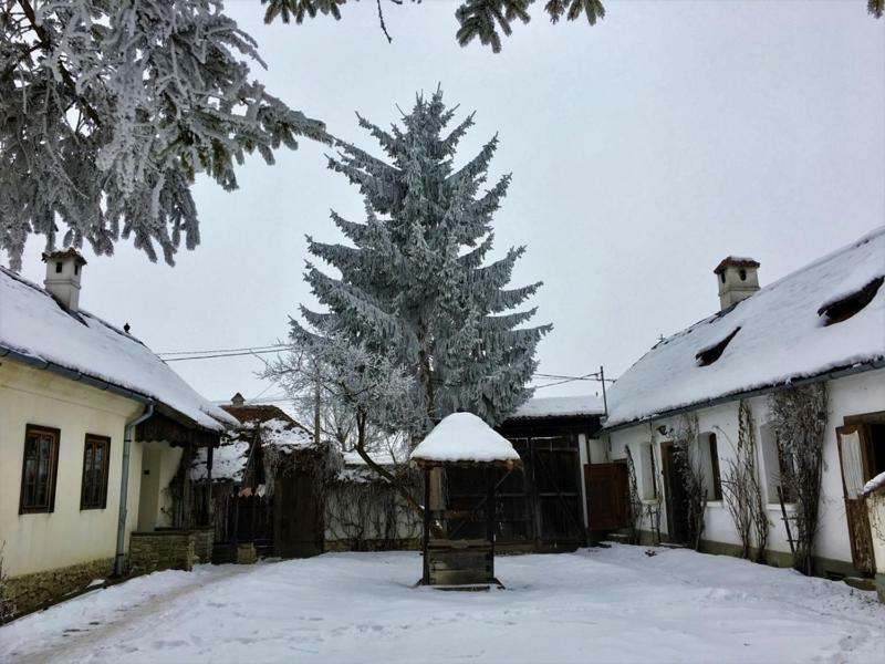 Count Kalnoky'S Transylvanian Guesthouses Miclosoara Extérieur photo