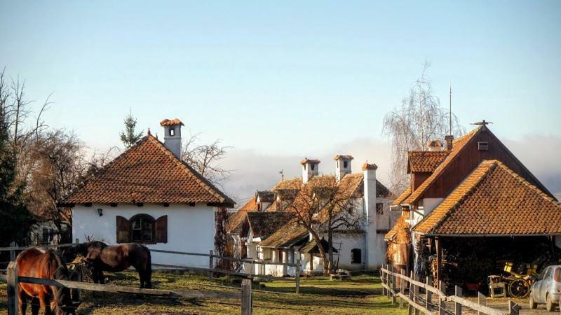Count Kalnoky'S Transylvanian Guesthouses Miclosoara Extérieur photo